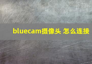 bluecam摄像头 怎么连接